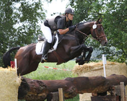 Großzügig am Sprung und im Galopp: Captain Carlchen mit Shanice Ashanti Stepper. Großzügig am Sprung und im Galopp: Captain Carlchen mit Shanice Ashanti Stepper.